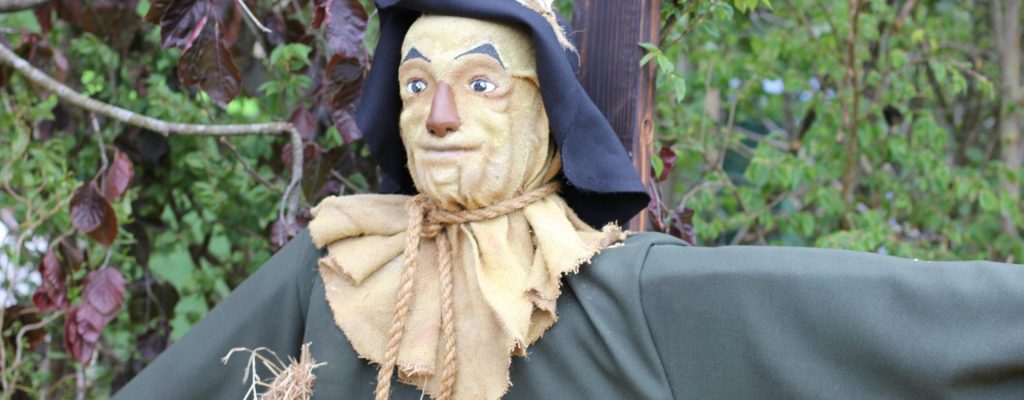 Freedom is just another word …