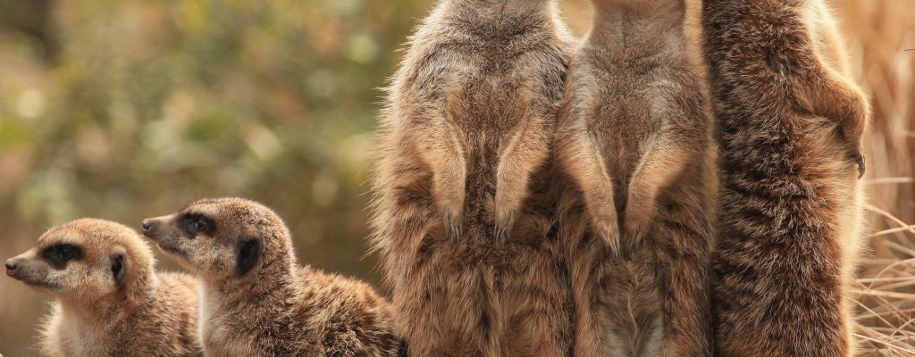 L3 | Leadership Learning Laboratory