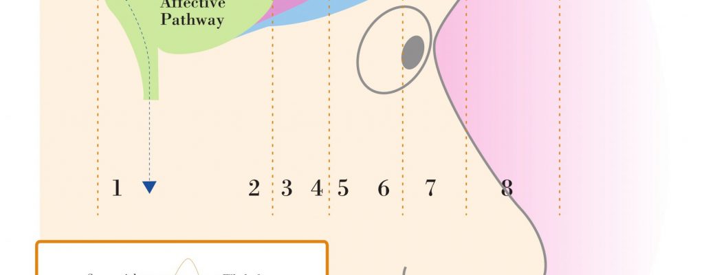 MythoSelf Process Training